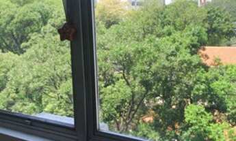 Imagem 5: Belíssima sala comercial com 36 m² Avenida Brigadeiro Faria Lima