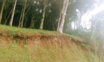 Imagem 6: Terreno Bairro Bandenfurt