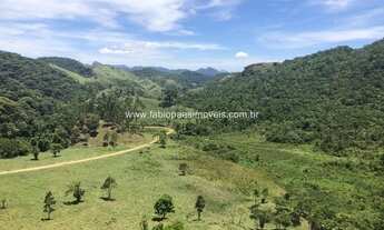 Imagem 2: Fabio Paes Imóveis - Fazenda a venda com 484 ha com Geo e capacidade 450 vacas