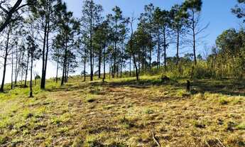 Imagem 7: Lote/Terreno para venda com 1000 metros quadrados em Barreiro - Mairiporã - SP