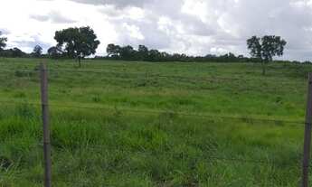 Imagem 3: Fazenda de 319ha em a 40km de Cuiabá em N.S do Livramento