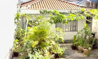 Imagem 6: CASA TÉRREA - JARDIM MARINGÁ - SP