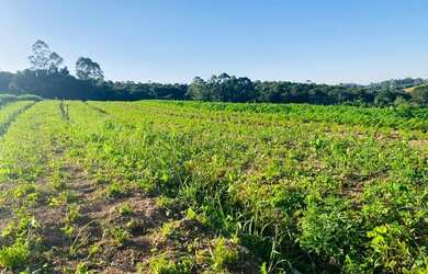 Imagem 6: Lotes Com Acesso Fácil ao Centro de Ibiúna SP