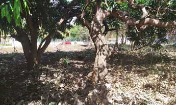 Imagem 5: Terreno em Ponta Verde