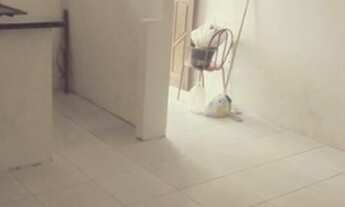 Imagem 4: Alugo uma casa em pirajá