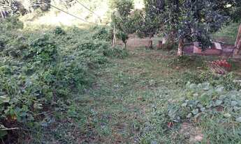 Imagem 4: Lote Residencial, vendo urgente. Ramal do Brasileirinho