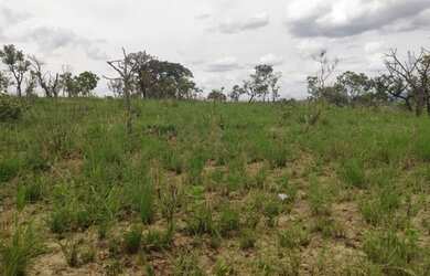 Imagem 2: TERRENO BARATO DE 2 HECTARES !!!!!