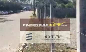 Imagem 3: Lote de 3 mil metros entre Abadia e Trindade - GO !