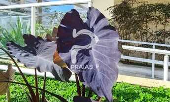 Imagem 7: RIVIERA DE SãO LOURENçO - Apartamento Padrão - Módulo 08