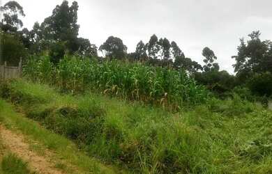 Imagem 6: Lote de terreno Terreno / lote com venda por R$29.000