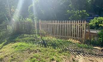 Imagem 5: Lote jardim de hala Cariacica