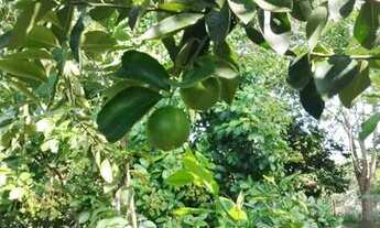 Imagem 5: Vende se ou trocar por casa em Manaus