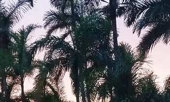 Imagem: Quarto para temporada