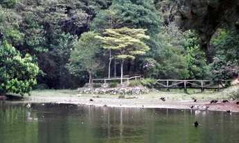 Imagem 7: Cotia - Casa de Condomínio - Jardim Mediterrâneo