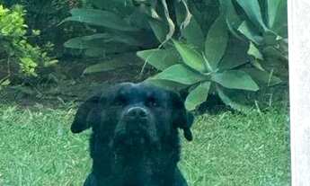 Imagem 5: Apartamento 1 Quarto com móveis Planejados