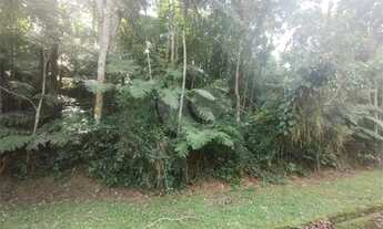 Imagem 4: Terreno no Alpes da Cantareira