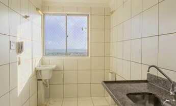 Imagem 6: Samambaia (Norte