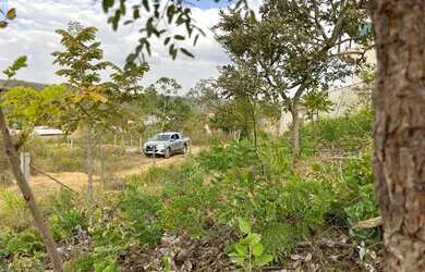 Imagem 5: Terreno São Jose de Almeida 800m²