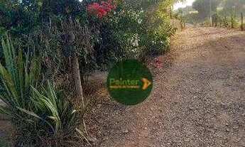 Imagem 4: Chácara com 2 dormitórios à venda, 20000 m² por R$ 550.000.000 - Zona Rural - Uruana/GO