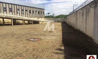 Imagem: Salão/Galpão (salão - térreo