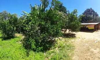 Imagem 4: Chácara a venda