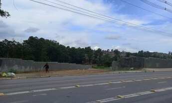 Imagem 7: Lote/Terreno para aluguel possui 2380 metros quadrados em Jardim Iguatemi - São Paulo - SP