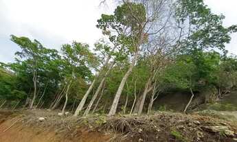 Imagem: Vendo Lote na chegada de Vila Pavão com