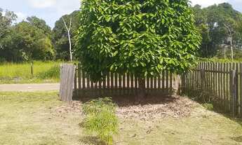 Imagem: Casa em Porto Acre