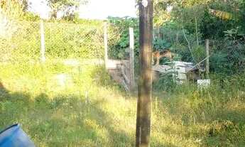 Imagem 4: Chácara em Piedade