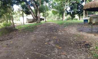 Imagem: Terreno a venda ( Savoia