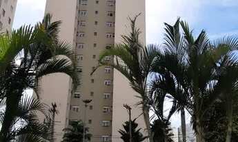 Imagem 4: Pq Continental (Prox estação Altino)- 3 Dorm, Sala Tv / Jantar, Cozinha, Área de Serviço