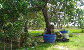 Imagem 7: CHÁCARA Á 20KM DE BOA VISTA BR174