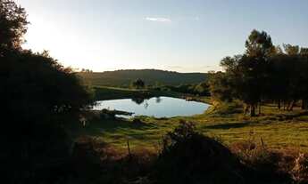 Imagem 4: Sítio Chácara com venda por R$250