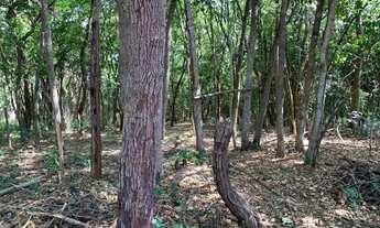 Imagem 6: Chácara 2.250m² em condomínio, chalé, fogão a lenha, córrego nos fundos e cisterna