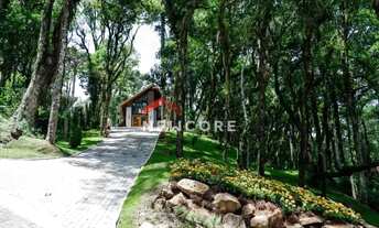 Imagem 3: Casa em Rua G - Pinheiro Grosso - Canela/RS