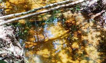 Imagem 4: Sítio Pau Rosa - R$ 10.000 de Entrada