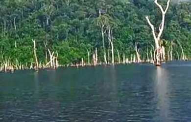 Imagem 2: Área de 1511 hectares