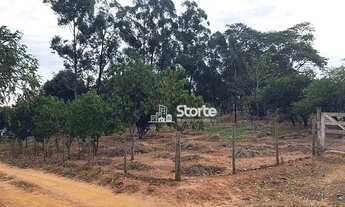 Imagem 6: Excelente sítio à venda, 13.560m² por R$ 1.500.000 - Zona Rural - Uberlândia/Prata-MG