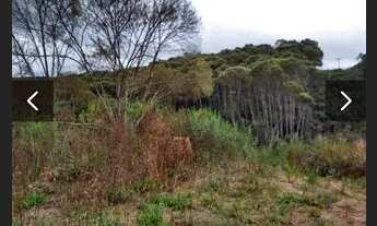 Imagem 4: Área em Bocaiúva do Sul/PR