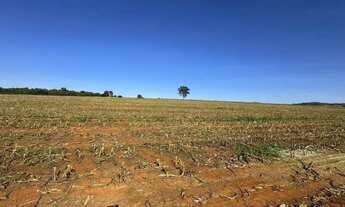 Imagem: Fazenda a venda - Pontalina - GO