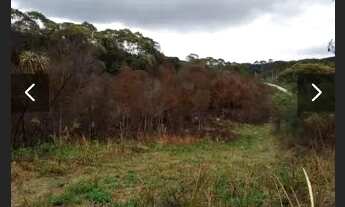 Imagem 6: Área em Bocaiúva do Sul/PR
