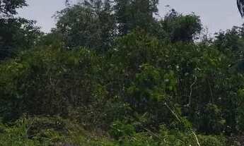 Imagem 5: /Lote em Açutuba com 4000 m2