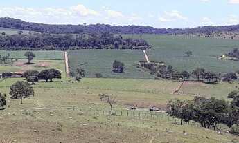 Imagem 4: Chácara em americano do Brasil