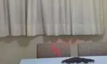 Imagem 3: Apartamento à Venda com 02 Quartos no Bairro Presidente Médici em Ribeirão Preto Mobiliado