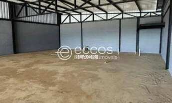 Imagem 3: Galpão para aluguel, Novo Mundo - Uberlândia/MG