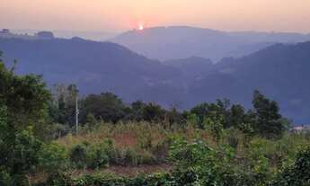 Imagem 7: Sítio com casa em rolante