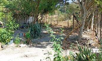 Imagem 5: Casas em área rural