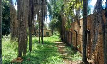 Imagem 6: Vendo chácara no morada nova 20x50 1000m2 com casa e cercada