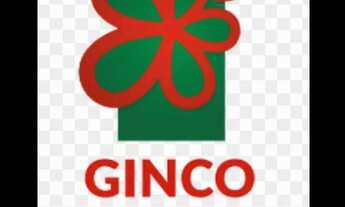 Imagem 5: TERRENO FLORAIS PEROLA