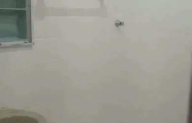 Imagem 6: Vendo Casa em Cariacica, São Geraldo